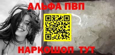 крисы Кингисепп