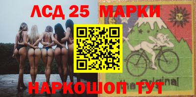 крисы Кингисепп