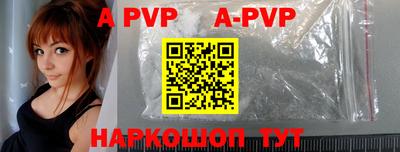крисы Кингисепп