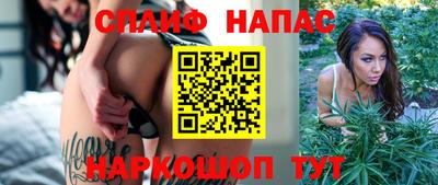 прущие крисы Кимры