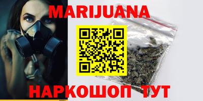 крисы Кингисепп
