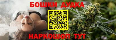 крисы Кингисепп