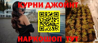 прущие крисы Кимры