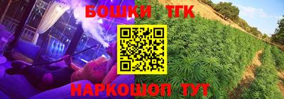 крисы Кингисепп