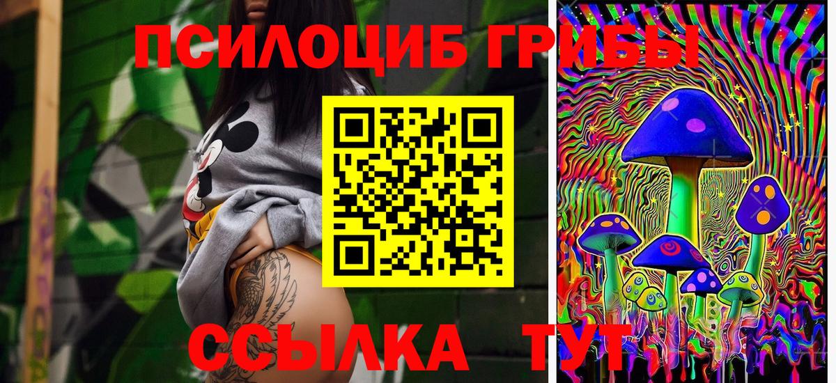 Знаменск  Галлюциногенные грибы Cubensis  Вход с VPN  Галлюциногенные грибы Psilocybine cubensis 