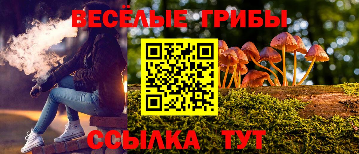 Галлюциногенные грибы Cubensis Знаменск